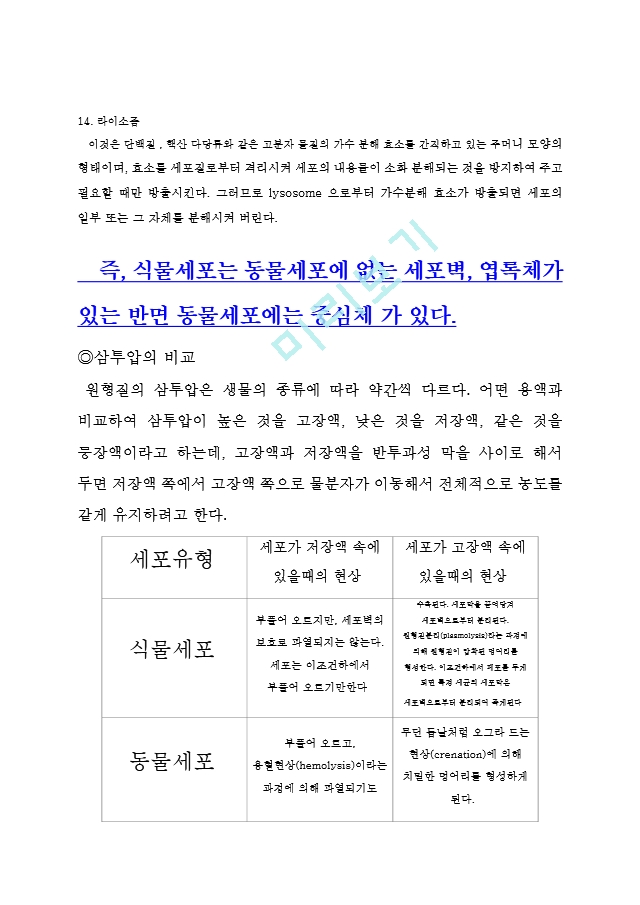 동물세포와 식물세포의 차이점생활전문레포트