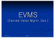 [] EVMS(Earned Value Management System)