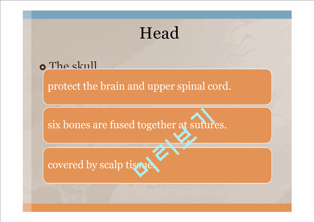 Head,ear,Nose,Throat   (4 )