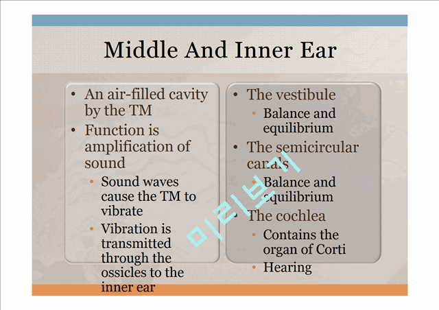 Head,ear,Nose,Throat   (10 )