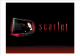 scarletplus   (1 )