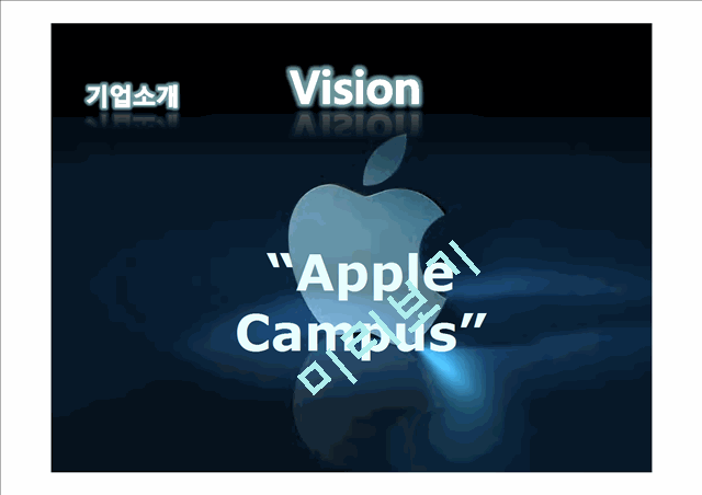 애플기업분석,애플전략분석,애플향후전망   (6 )