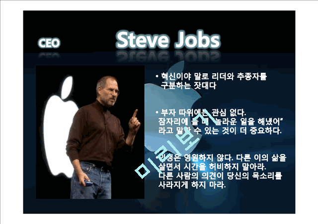 애플기업분석,애플전략분석,애플향후전망   (8 )