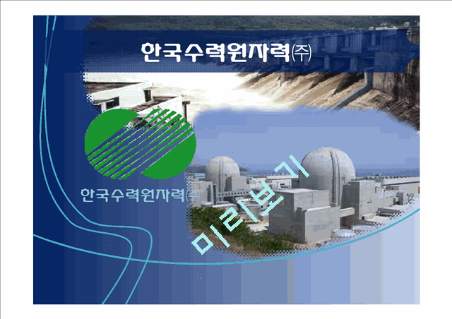 한국수력원자력,한국수력원자력기업분석,한국수력원자력경영전략,한수원,한수원기업분석   (1 )