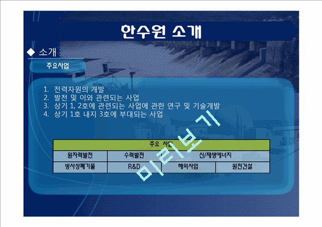 한국수력원자력,한국수력원자력기업분석,한국수력원자력경영전략,한수원,한수원기업분석   (5 )